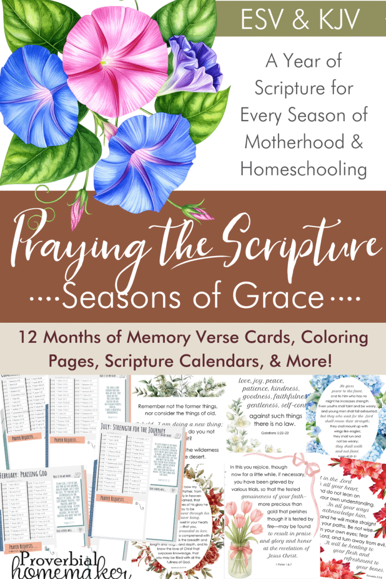 Seasons of Grace - Praying and writing the Scripture through all of life's seasons. Download the 12-month Scripture printable pack!